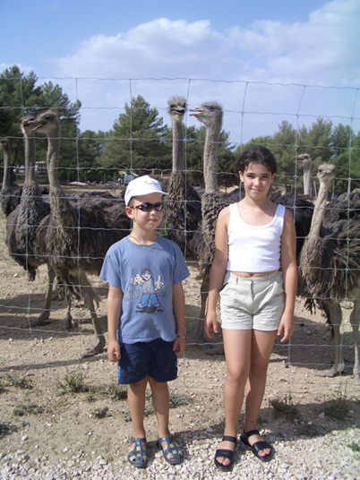 2004-08 Autruches 003.JPG